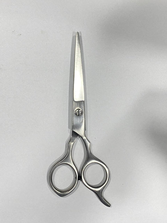 Professional Barber Scissors